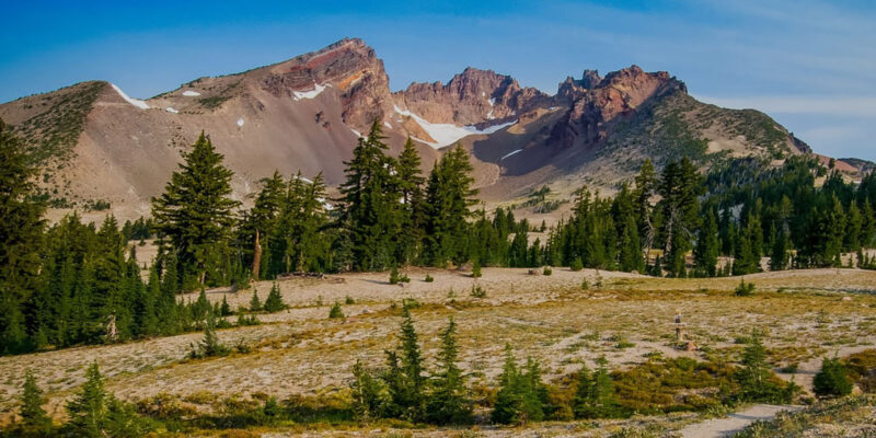 Mountain landscape with pine forest and snow patches